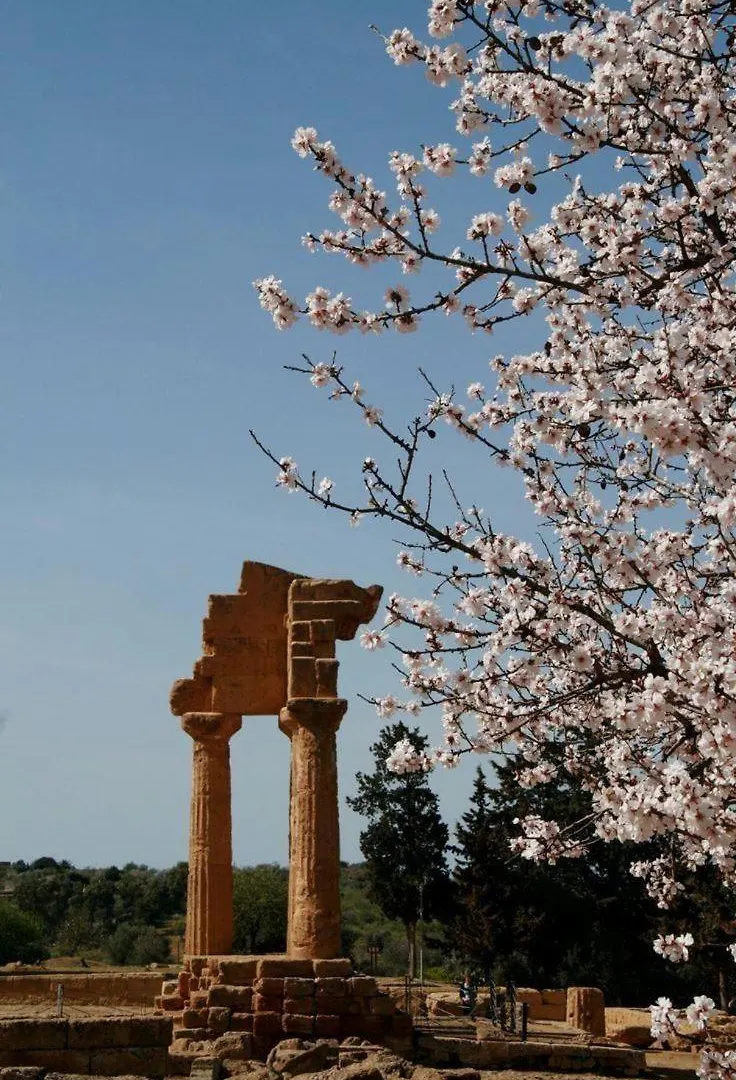 Bed and Breakfast Casa di Luca Agrigento